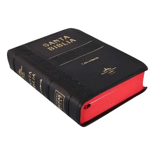 BIBLIA RVR022 NEGRO SIN CIERRE C/INDICE FILO FUSCIA