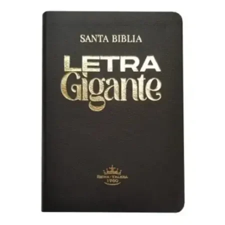 BIBLIA RVR66 ASTON NEGRO DORADO, Biblia Hombre