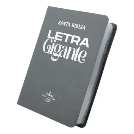 BIBLIA RVR66 ASTON GRIS