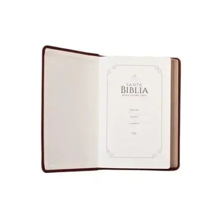 Biblia Reina Valera 1960 Tamaño Manual Letra Grande Canto Dorado